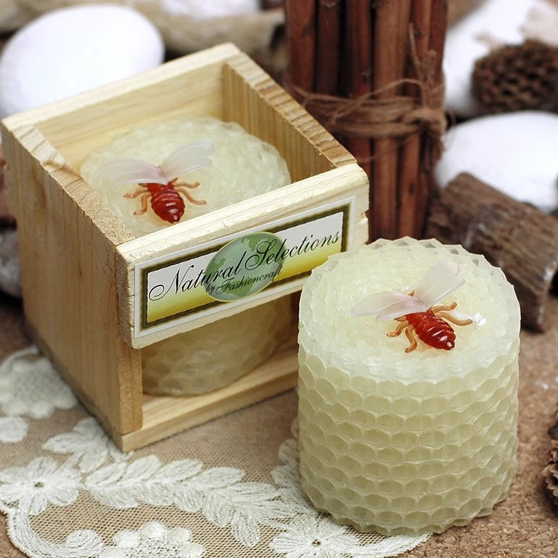 Candle Supplies Usa - Forniture per feste di compleanno per
