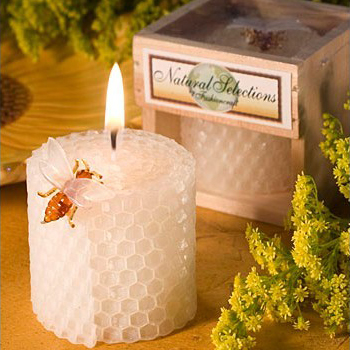 Forniture per feste di complea - Candle Supplies Usa recensione e prezzo